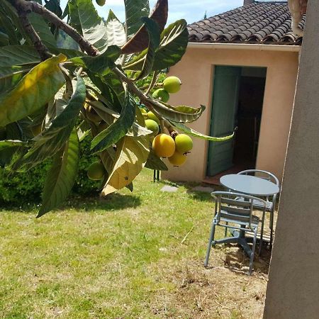 Grand Studio La Roquette-sur-Siagne Exteriér fotografie
